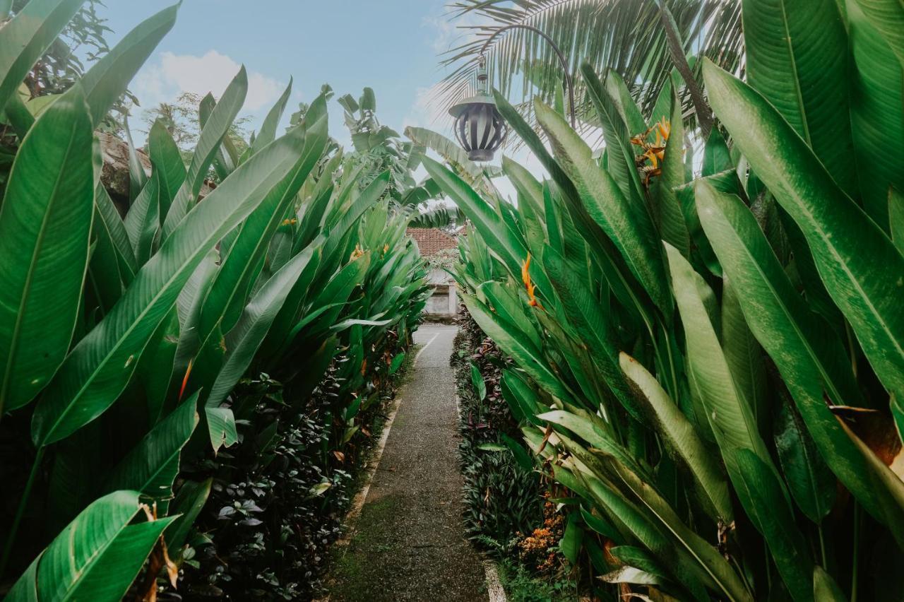 Anggira Villa Ubud ภายนอก รูปภาพ